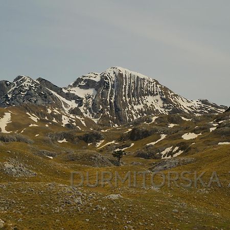Durmitorska Zora Villa Žabljak Buitenkant foto