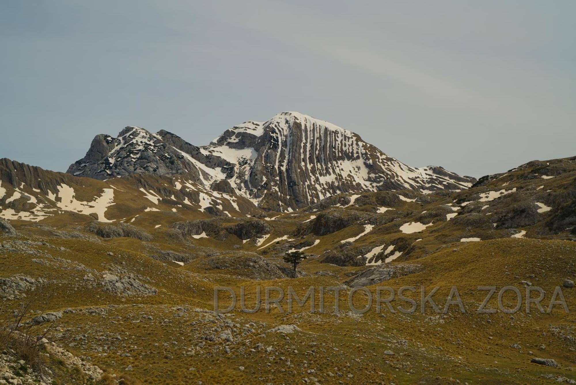 Durmitorska Zora Villa Žabljak Buitenkant foto